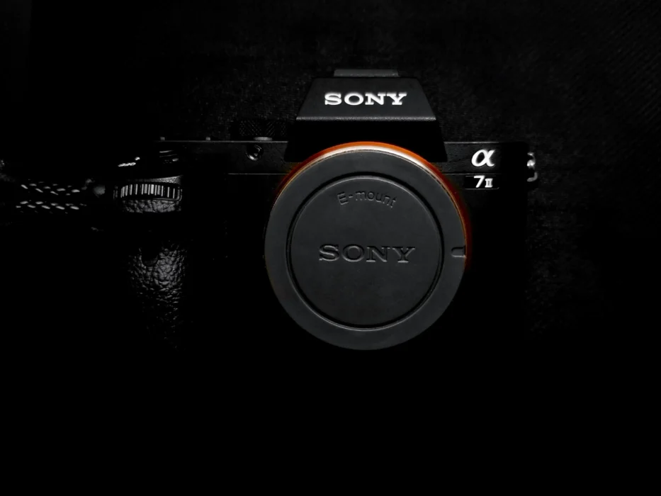 best camera for professional photography beginners - Sony Alpha